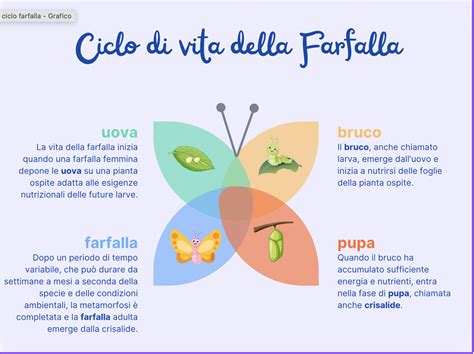 infografica sulle fasi del ciclo vitale della Poecilia sphenops e consigli di cura
