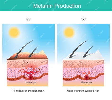 Cellule della pelle che producono melanina