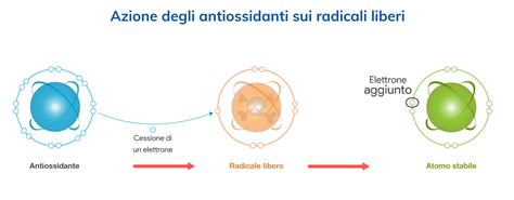 grafico che illustra l'azione antiossidante della carbocisteina contro le specie reattive dell'ossigeno