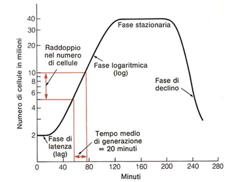 Diagramma che illustra la curva di crescita dell'ormone Beta-hCG nelle prime settimane di gestazione