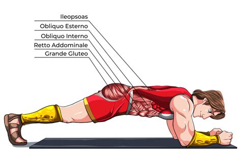 Esempio grafico della corretta esecuzione del plank e della posizione del gatto per neomamme