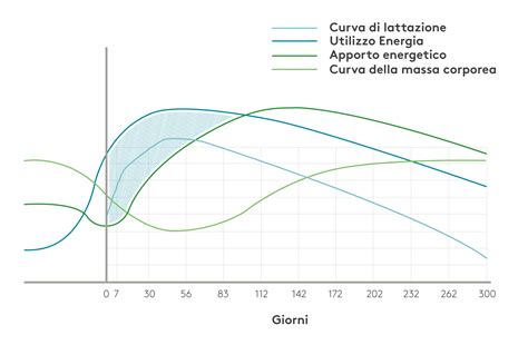 Grafico che illustra il bilancio energetico negativo nella bovina