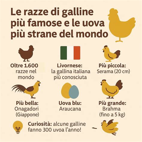 Uova fertili di diverse razze di galline