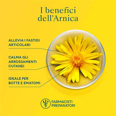 Grafico illustrativo dell'azione dell'Arnica sul riassorbimento degli edemi