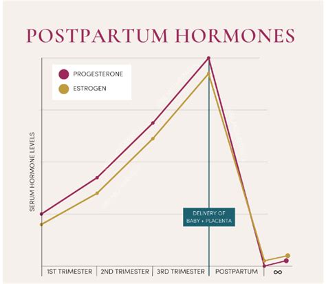 Graphic showing hormonal fluctuations during breastfeeding and postpartum period