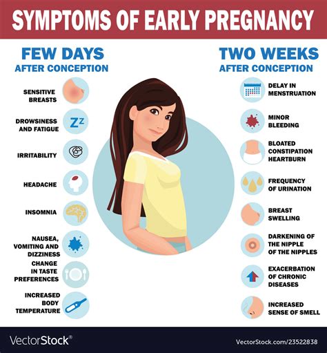 Infographic of common early pregnancy symptoms