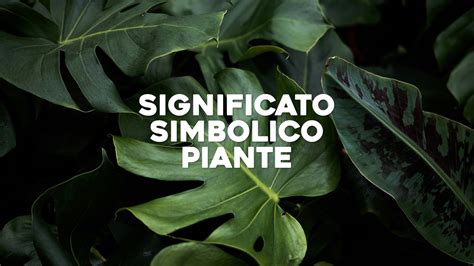 Significati simbolici delle piante