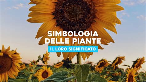 Varie piante con i loro significati
