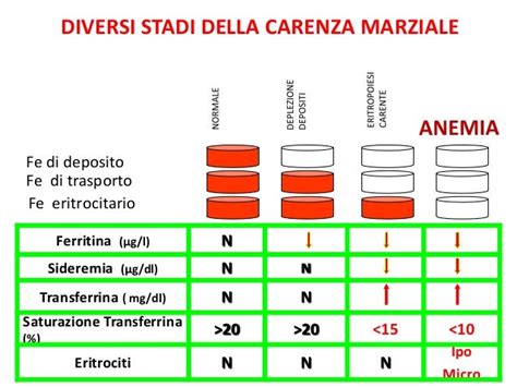 Schema dei parametri del Ferro (sideremia, ferritina, transferrina)