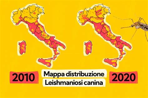 Mappa delle aree a rischio Leishmaniosi in Italia
