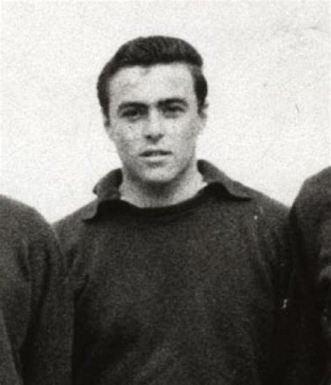 Ritratto di Luciano Pavarotti giovane