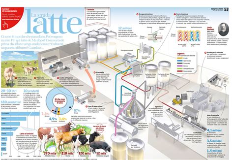 Meccanismo di Produzione del Latte