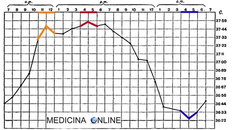 Andamento giornaliero della temperatura corporea