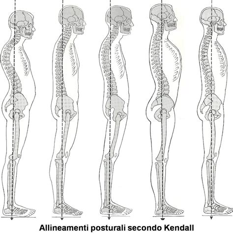 Schema posturale della donna in gravidanza con baricentro spostato