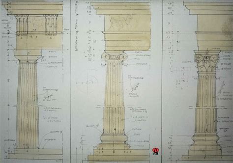 disegno schematico delle diverse tipologie di fasciatoi