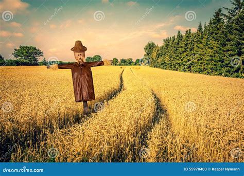 Spaventapasseri in un campo agricolo