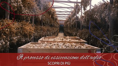 Immagine del processo di essiccazione nell'interfaccia di elaborazione