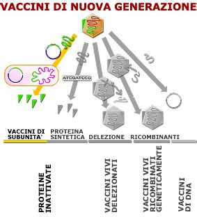 Schema molecolare delle proteine antigeniche del vaccino pertosse acellulare