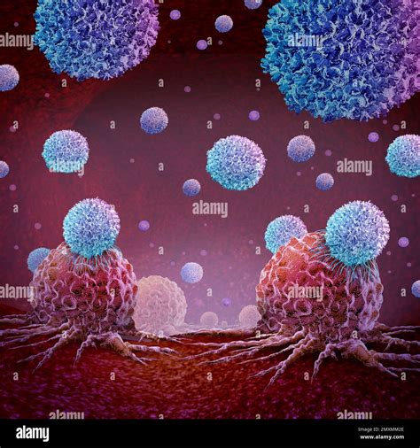 Fattori immunologici e impianto