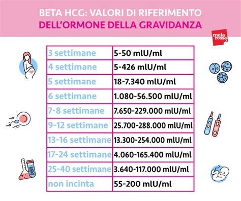 Prezzi medi degli esami Beta hCG in Italia