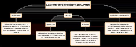 Diagramma dell'assortimento indipendente dei caratteri