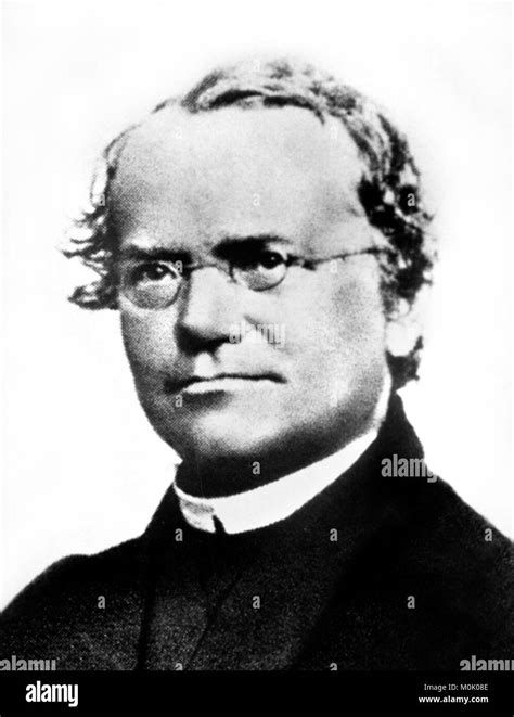 Ritratto di Gregor Mendel