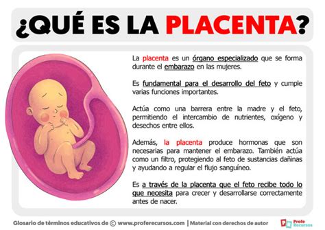 schema grafico del passaggio del virus attraverso la placenta