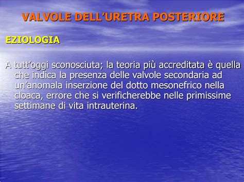 Rappresentazione delle valvole dell'uretra posteriore