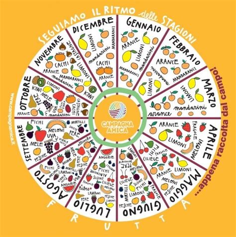 infografica che mostra la stagionalità della frutta adatta allo svezzamento