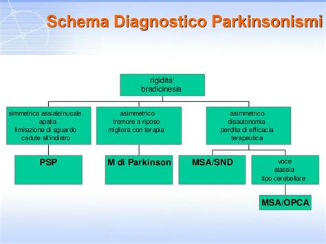 schema diagnostico isteroscopico