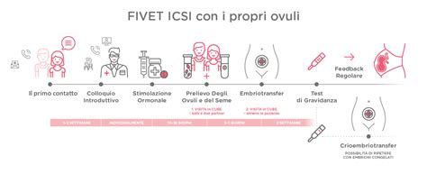 Diagramma del processo di FIVET e ICSI