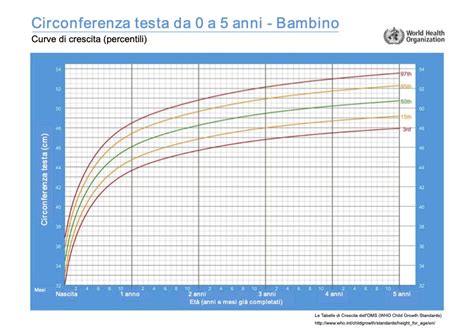 Schema illustrativo della misurazione della circonferenza cranica in un neonato