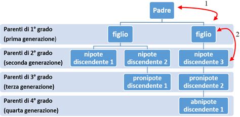 Schema di calcolo dei gradi di parentela in linea collaterale