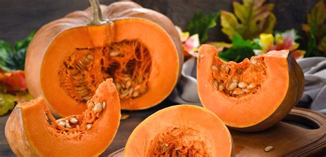 Zucca