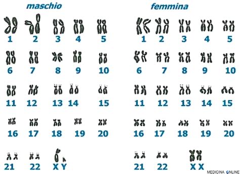 Diagramma dei cromosomi 13, 18, 21