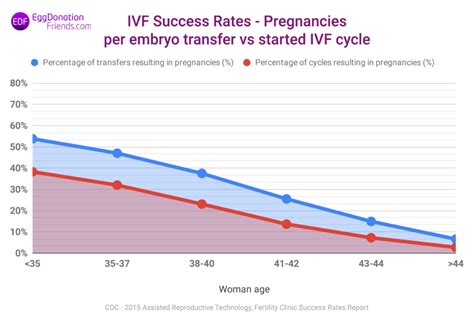 Grafico che confronta le percentuali di successo della fecondazione naturale vs ovodonazione per età