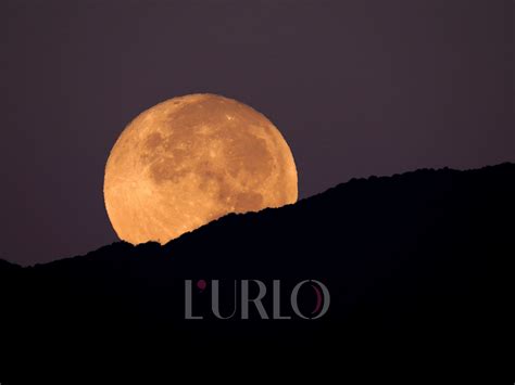 Simbolismo della luna, del lupo e dell'agnello nelle ninne nanne