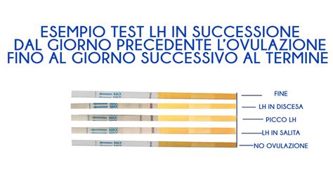 Kit di stick ovulatori