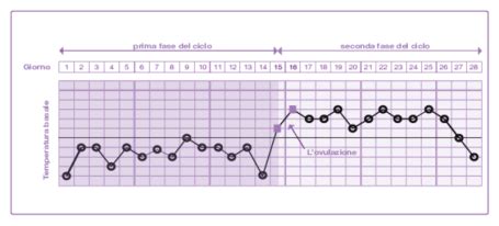 Curva della temperatura basale