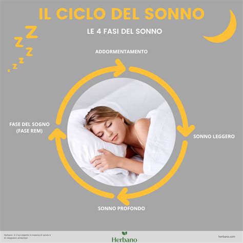 rappresentazione stilizzata del ciclo del sonno infantile