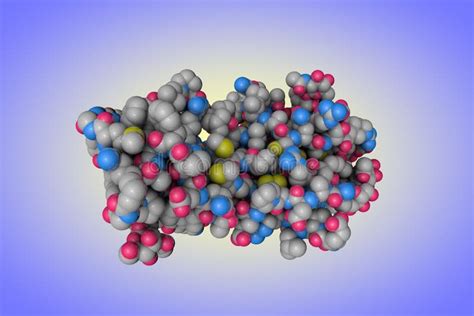 rappresentazione biochimica della molecola di gonadotropina corionica umana