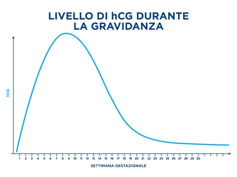 grafico che illustra l'andamento esponenziale delle beta hCG nelle prime settimane di gestazione