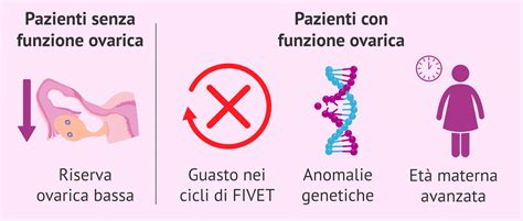 Banca di ovociti per ovodonazione