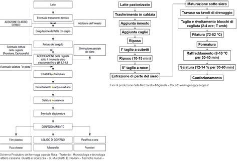 Diagramma del processo di produzione della Mozzarella di Bufala Campana