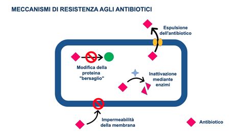 Meccanismi della resistenza agli antibiotici