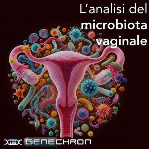 Illustrazione del microbiota vaginale sano e alterato