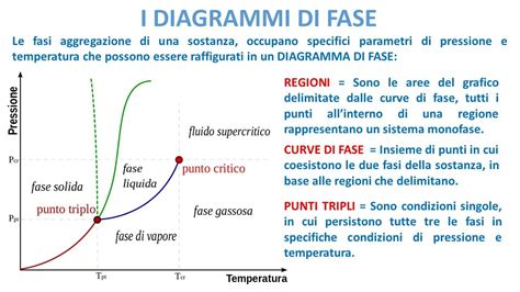 Diagramma delle fasi di crescita di un cane