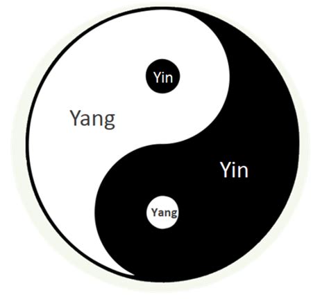 rappresentazione concettuale dell'equilibrio energetico Yin e Yang
