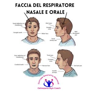 Schema volto con respirazione orale