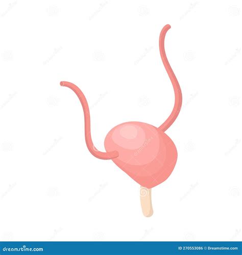 illustrazione anatomica degli impianti endometriosici